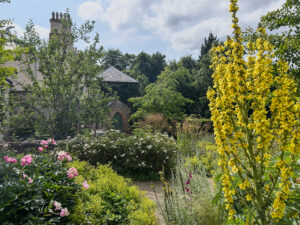 Üppige Blütenpracht in vielen Gärten rund um Dublin