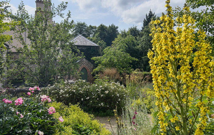 Üppige Blütenpracht in vielen Gärten rund um Dublin