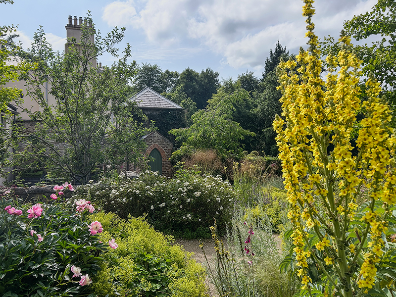 Üppige Blütenpracht in vielen Gärten rund um Dublin