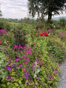 Üppige Staudenbeete in Blake Garten