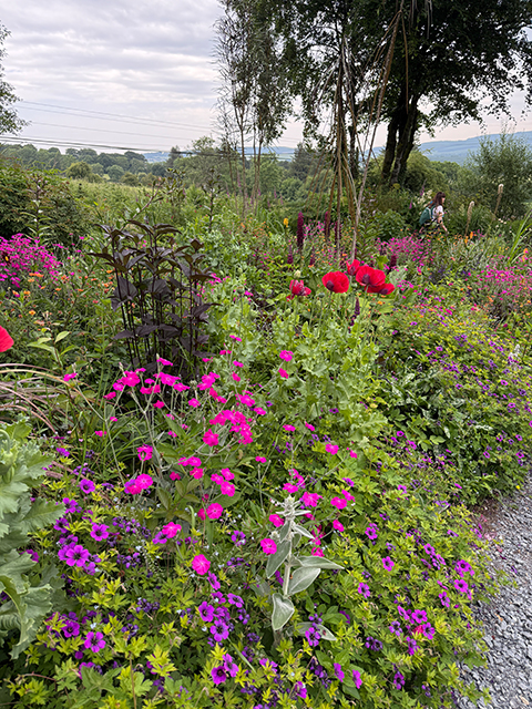Üppige Staudenbeete in Blake Garten Üppige Staudenbeete in Blake Garten