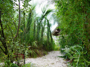 Bild: Leopold Mayrhofer/Natur im Garten