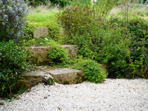 Bild: Leopold Mayrhofer/Natur im Garten