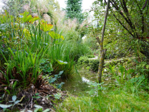 Bild: Leopold Mayrhofer/Natur im Garten