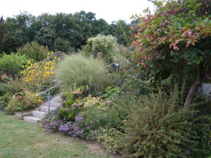 Bild: Leopold Mayrhofer/Natur im Garten