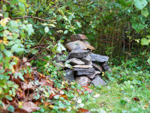 Bild: Leopold Mayrhofer/Natur im Garten