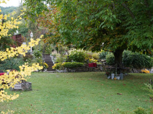 Bild: Leopold Mayrhofer/Natur im Garten