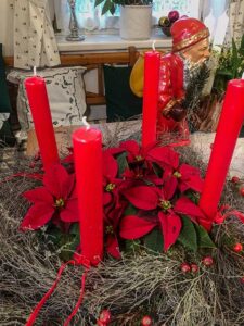 Weihnachtsstern am Adventkranz
