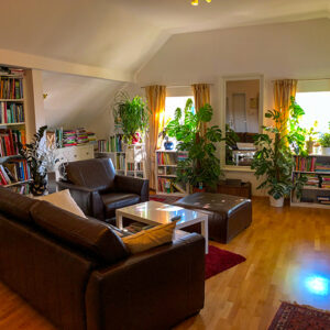 Mit Pflanzen wir die Luft im Zimmer besser