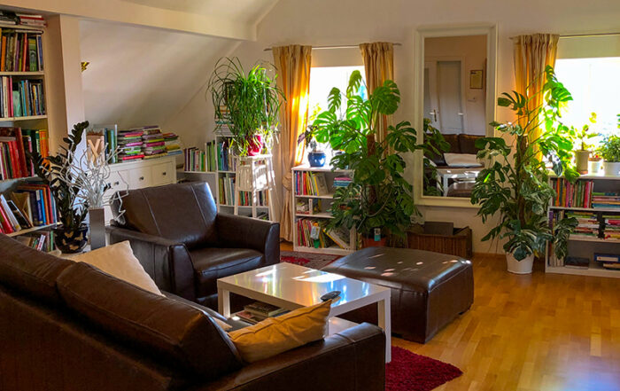 Mit Pflanzen wir die Luft im Zimmer besser