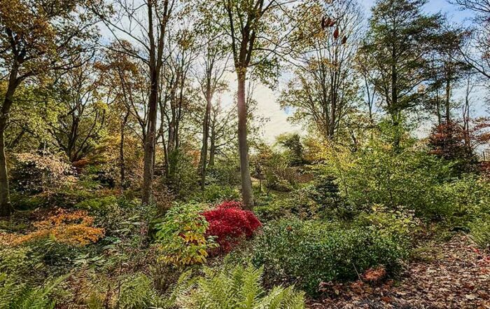 Sammlergarten in der Normandie