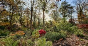 Sammlergarten in der Normandie