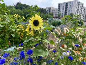 Bild: ORF/Ralph Huber-Blechinger