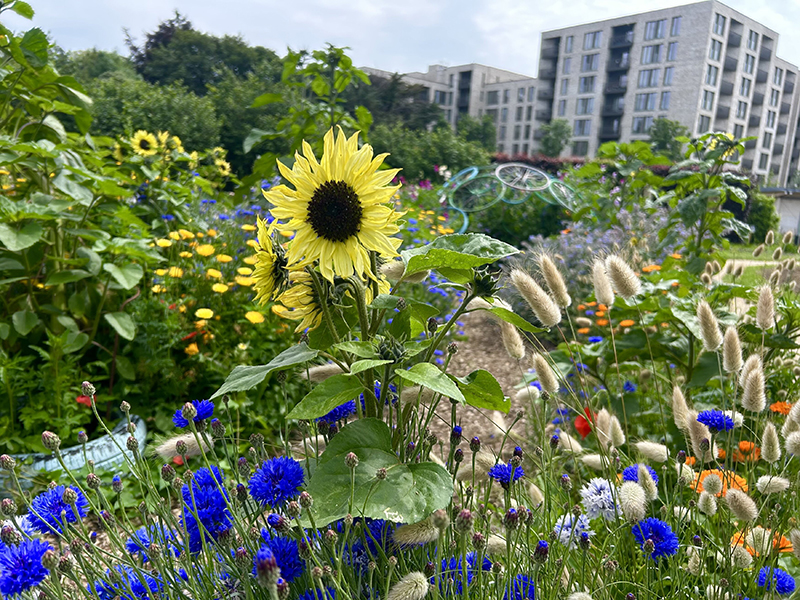 Bild: ORF/Ralph Huber-Blechinger Bild: ORF/Ralph Huber-Blechinger