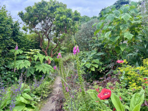 Bild: ORF/Ralph Huber-Blechinger