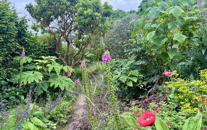 Bild: ORF/Ralph Huber-Blechinger