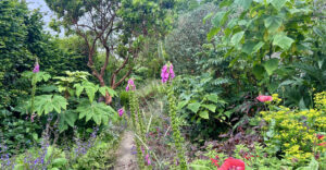 Bild: ORF/Ralph Huber-Blechinger