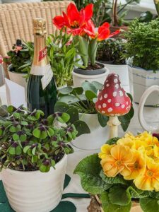 Gl&uuml;cksklee und Fr&uuml;hlingsboten