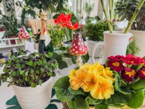 Gl&uuml;cksklee und Fr&uuml;hlingsboten