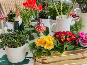 Gl&uuml;cksklee und Fr&uuml;hlingsboten