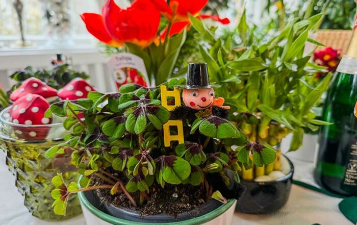 Klee und Gl&uuml;ckssymbole