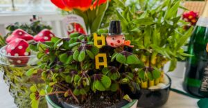 Klee und Gl&uuml;ckssymbole