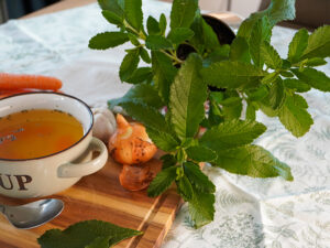 Blu Suppenliebe Bouillon-Pflanze