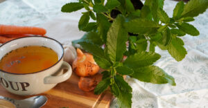 Blu Suppenliebe Bouillon-Pflanze