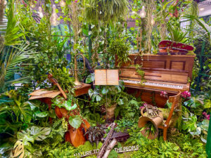 Zimmerpflanzen stehen nach wie vor hoch im Kurs