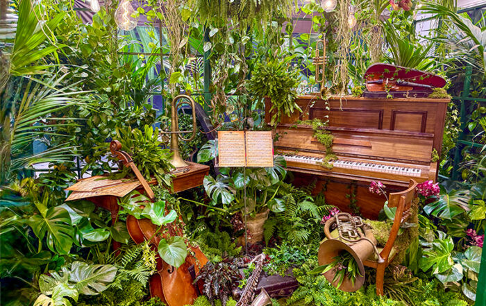 Zimmerpflanzen stehen nach wie vor hoch im Kurs