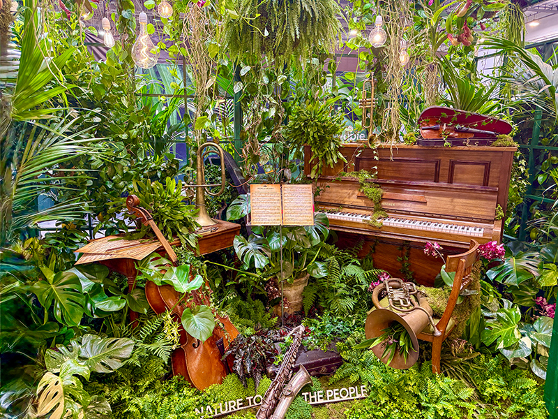 Zimmerpflanzen stehen nach wie vor hoch im Kurs