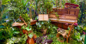 Zimmerpflanzen stehen nach wie vor hoch im Kurs