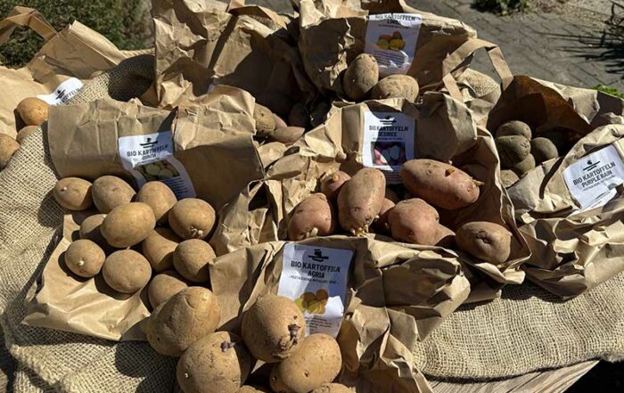 Erd&auml;pfel - bereit zum Pflanzen