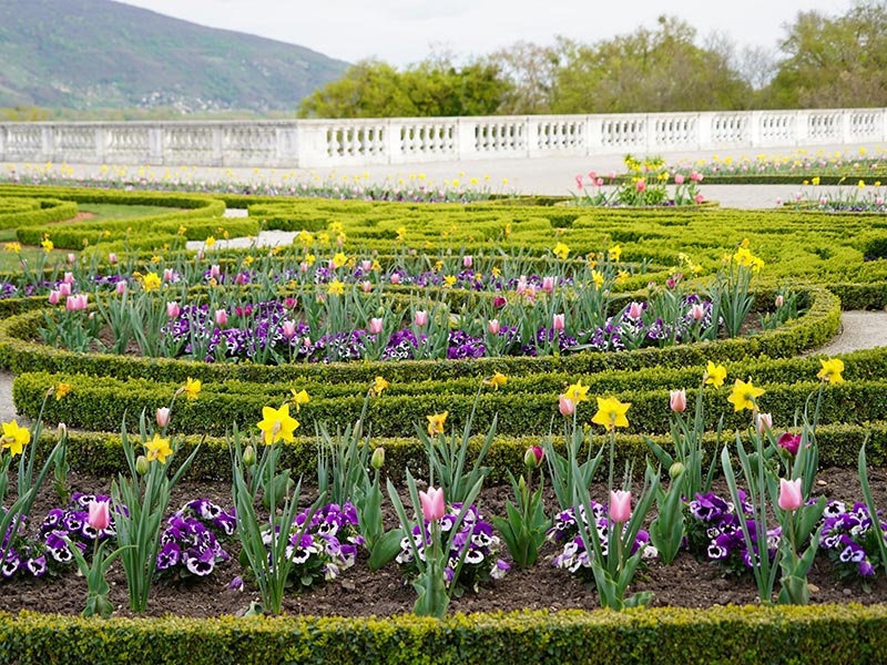 Bild: Leopold Mayrhofer/Natur im Garten Bild: Leopold Mayrhofer/Natur im Garten
