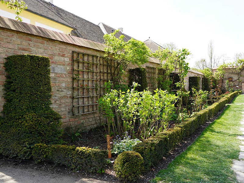 Bild: Leopold Mayrhofer/Natur im Garten Bild: Leopold Mayrhofer/Natur im Garten