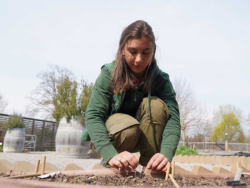 Bild: Leopold Mayrhofer/Natur im Garten Bild: Leopold Mayrhofer/Natur im Garten