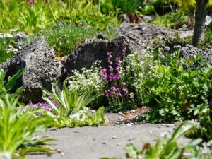 Bild: Leopold Mayrhofer/Natur im Garten