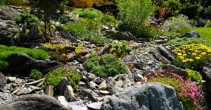 Bild: Leopold Mayrhofer/Natur im Garten
