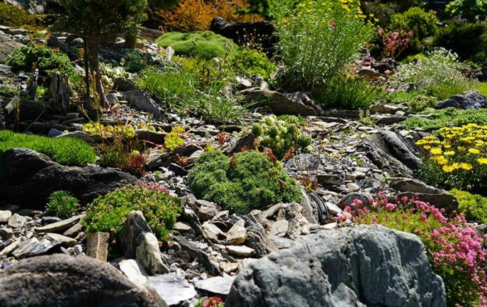 Bild: Leopold Mayrhofer/Natur im Garten