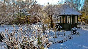 Winter im Garten