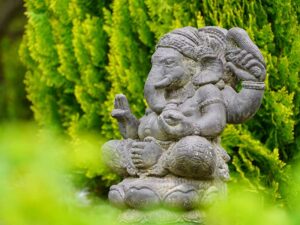 Bild: Leopold Mayrhofer/Natur im Garten