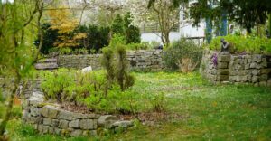 Bild: Leopold Mayrhofer/Natur im Garten