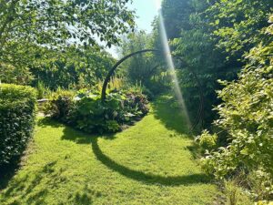 Bild: ORF/Ralph Huber-Blechinger
