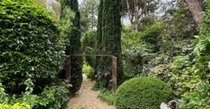 Ein Garten ohne Rasen