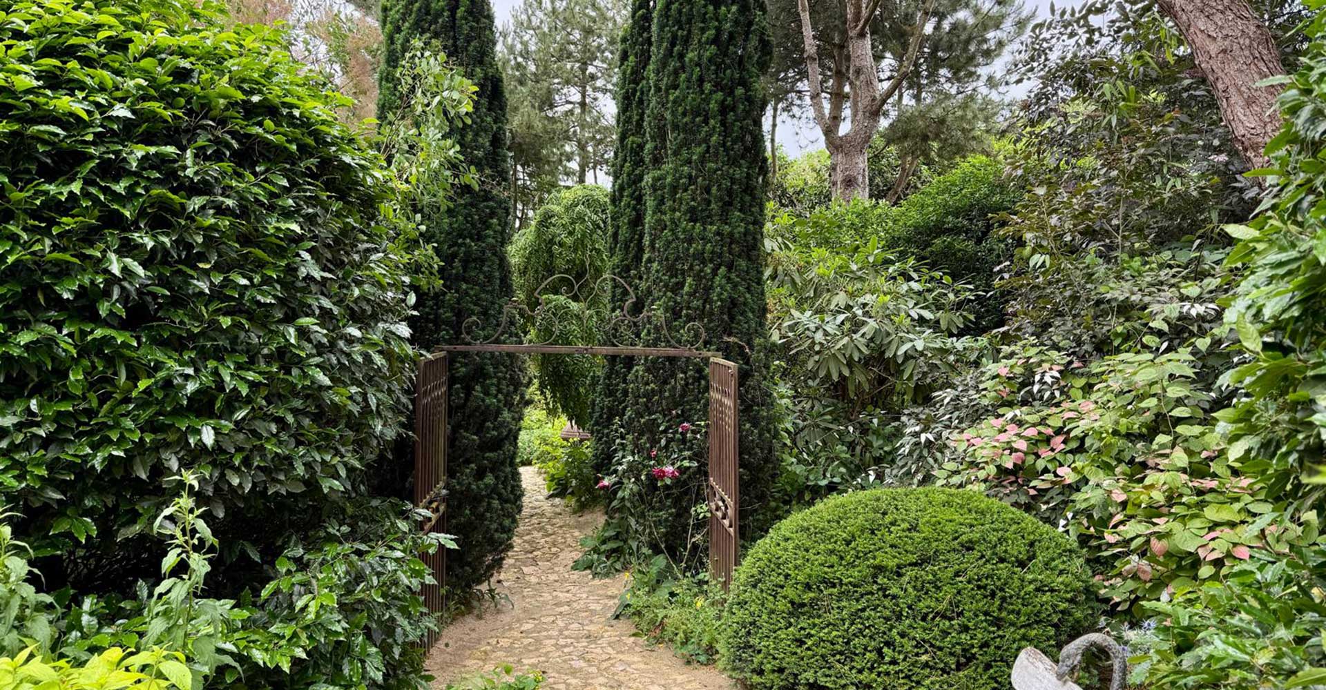 Ein Garten ohne Rasen