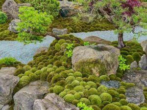 Garten mit Moos