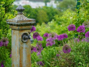 Bild: Leopold Mayrhofer/Natur im Garten