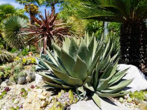 Bild: Leopold Mayrhofer/Natur im Garten