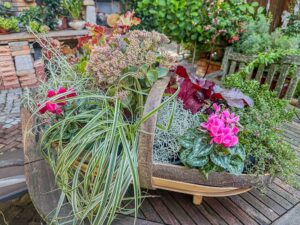 Herbstschale