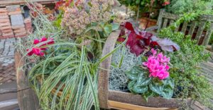 Herbstschale